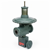 Regulador de Presión de Gas Metálico de Acción Directa con Resorte, Serie LQ RTZ-LQ, para GLP, Gas Natural, Propano, Helio, Argón