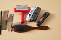 Ensemble professionnel de brosses de toilettage pour animaux de compagnie, outils de brossage complets pour animaux de compagnie en plastique durable, directement du fournisseur d'usine