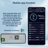 Moniteur de batterie solaire sans fil, compteur Coulomb 120V 500A 300A LiFePO4, stockage d'énergie hors réseau, SOC AH WH, application Bluetooth, écran LCD couleur