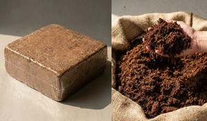 Bloque de Fibra de Coco 5kg 30 cm x 30 cm x 12-15 cm, Medio de Cultivo Orgánico de Coco con Alto Contenido de EC que Favorece el Desarrollo de Raíces Fuertes - Product Image 3