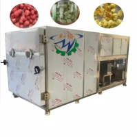 Groothandel Oplosbare Koffie Lagere Beste Vriesdroger Machine,Fruit Vriesdroger Fabrikant