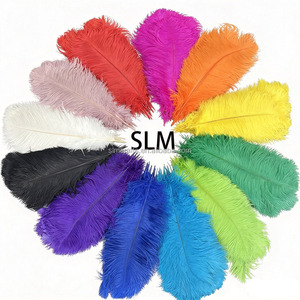 Plumas de Avestruz Naturales Teñidas al por Mayor de 40-45 cm, Multicolores, para Centros de Mesa de Boda, Disfraces de Carnaval y Decoración - Product Image 1