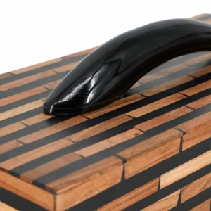 Scatola Decorativa Rettangolare con Manico a Corno, Moderna Scatola Portaoggetti in Resina per Gioielli e Ricordi, per Arredamento Casa - Product Image 6