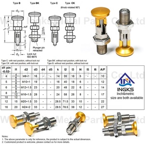 M16 M20 Có Thể Thu Vào Mùa Xuân Tải Chỉ Số Pit Tông Pin Thép Không Gỉ Khóa Ra Chỉ Mục Pit Tông - Product Image 5