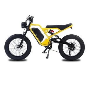 Hot Sport Hunting 20inch Fat Tire Hub Motor 1500W 2 Batteries Ebike Electric Motor Bike Full Suspension Mountain Street Cycles