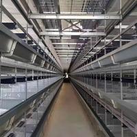 Équipement d'élevage de volailles en cage à fil galvanisé à chaud entièrement automatique, durée de vie de 20 ans, pour fermes avicoles en Afrique - Vente chaude