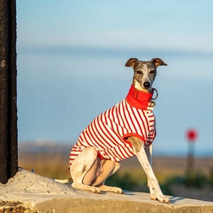 Qiqu Pet Shop Dog Summer <strong>Clothing</strong> Clothes Stripe <strong>Popper</strong> up Tee t Shirt Vest Dress for Whippets Italian Greyhound Sighthound - Product Image 6