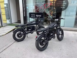Bicicleta Eléctrica de Último Diseño con Batería de Litio Extraíble de Gran Capacidad 1500W/3000W 48V/60V 60AH, Neumáticos Anchos para Montaña, Nieve y Ciudad - Product Image 4
