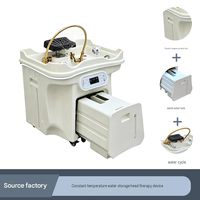 Bac à shampoing mobile pour thérapie capillaire 60L avec réservoir d'eau intégré, chauffage à température constante, spa capillaire sans tuyau d'eau pour salon de beauté
