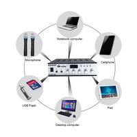 High Quality Professional Adjustable Monitor Volume 10 Channel Stereo Sound Monitor