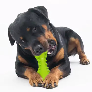 Juguetes Para Mascotas colorato Trp Pet Toy Bone Dog Chew giocattoli <span class=keywords><strong>per</strong></span> la dentizione del cucciolo - Product Image 3