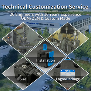 유압식 싱글/더블 핸독 유압 펌프 부품 카트리지 키트 미니 굴삭기용 유압 베인 펌프 - Product Image 5