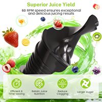 Extracteur de jus électrique à mastication HGM, goulotte large de 5,4 pouces, facile à nettoyer, 300W, presse-agrumes lent pour usage domestique