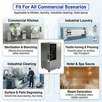 Générateur de vapeur électrique commercial 24KW 33kg/h 0.3MPa en acier inoxydable 304, économie d'énergie 20%-40%, chaudière pour stérilisateur de cuisine