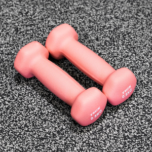 High Quality Neoprene <strong>Hex</strong> <strong>Dumbbells</strong> <strong>Set</strong> 0.5 kg to 10 kg Cast Iron Material Hand Weights for Women's Gym Fitness - Product Image 2