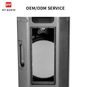 บริการ OEM/ODM ของ HY AUDIO กล่องพลาสติกเปล่าสำหรับลำโพง คุณภาพสูง ขนาด 12 นิ้ว 15 นิ้ว <span class=keywords><strong>ตู้</strong></span>ลำโพงเปล่า - Product Image 3