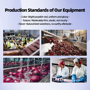 Línea de Procesamiento de Remolacha Cocida Lista para Consumir con Certificación CE/Línea de Producción de Remolacha Preparada Totalmente Automática SUS304 - Product Image 1