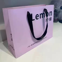 Sac en Papier Réutilisable Haut de Gamme avec Poignée en Ruban, Impression Logo Personnalisée, Meilleures Ventes, pour Boutiques de Luxe et Shopping