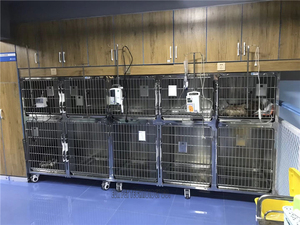 Equipo Veterinario de Buena Calidad EUR <span class=keywords><strong>PET</strong></span>, Jaula para Perros e Instrumentos Quirúrgicos para Uso en Clínicas Veterinarias - Product Image 6