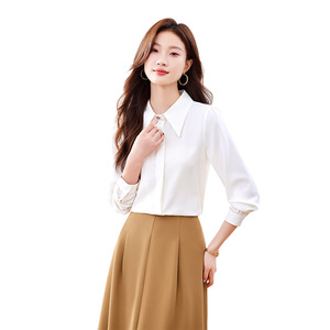 Blue Long Sleeve Chiffon Shirt Women Solid Color Button Front Work Professional Blouse Spring Autumn 2024 Style - Product Image 5