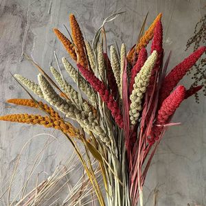 Tiges de millet rétro en gros, épis de céréales naturelles, fleurs séchées préservées pour arrangements, garniture de vase, décoration bohème pour la maison et les mariages - Product Image 1