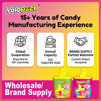 Yoloduck Vente en gros préférentielle Certificat Halal/Kosher Jouet Bonbon Magique pour Cheveux, Sucette Liquide à la Saveur Cola et Confiture de Fruits