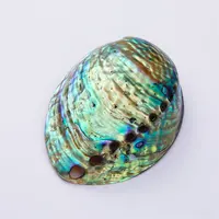 Natural Polished Abalone Shell, Natural Craft Seashell
