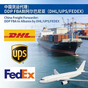 Transitario Internacional Zhonglong DDP FBA a Albania por DHL UPS FEDEX Transporte Aéreo Marítimo Ferroviario Envío Exprés - Product Image 2