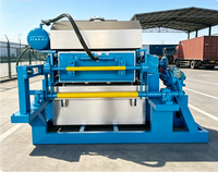 Çilek Brezilya Paketleme Fabrikası için Çok Fonksiyonlu Kağıt Hamuru Yumurta Viyol Makinesi