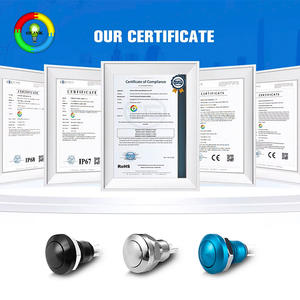 Interruttore a Pulsante Momentaneo IP65/IK08 con Testa Sferica in Acciaio Inox, 250V 5A 1NO, per Elettrodomestici, Automotive e Industria - Product Image 6