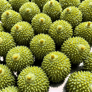 Balle artisanale en durian, plastique, sans rebond, sonore, à pincer, avec explosion musicale, jouet de décompression - Product Image 2