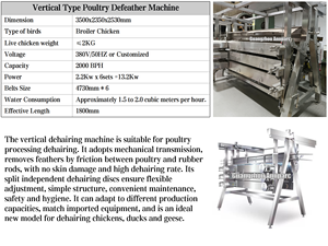 <span class=keywords><strong>Plumeuse</strong></span> à volaille électrique commerciale motorisée haute productivité Guangzhou 1000 plumes/heure - Product Image 6