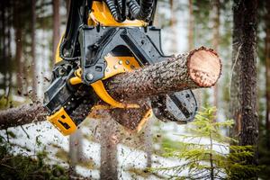 Equipo de Corte Forestal <span class=keywords><strong>PONSSE</strong></span> H7 H7HD, Cabezal de Cosechadora con Apertura de 650 mm para Excavadora Forestal de 20 y 25 Toneladas - Product Image 5