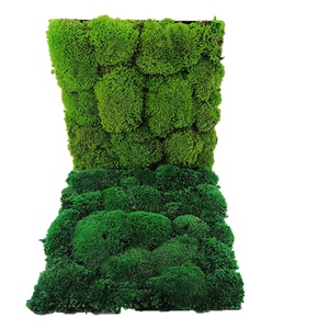 Panel <span class=keywords><strong>de</strong></span> azulejo <span class=keywords><strong>de</strong></span> musgo conservado <span class=keywords><strong>de</strong></span> musgo Natural Real ambiental para decoración del hogar - Product Image 3