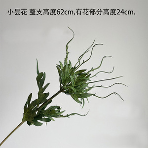 Xunpu 2 teste <span class=keywords><strong>di</strong></span> barba <span class=keywords><strong>di</strong></span> drago <span class=keywords><strong>orchidea</strong></span> artificiale fatta a mano singolo fiore <span class=keywords><strong>di</strong></span> plastica per Natale fai da te e ritorno all'arredamento della scuola <span class=keywords><strong>di</strong></span> Xunpu - Product Image 6