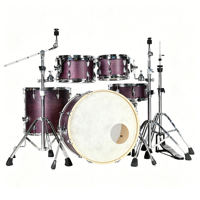 Customizable 5-Piece Professional Metal Drum Set with Adjustable Heavy Duty Die Cast Hoops Durable Percussion Instruments