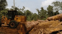 Skidder – tracteur de forêt, machine à bûcher, tracteur de bois, dérapeur de forêt, treuil de forêt, treuil de forêt, treuil de bûches de bois