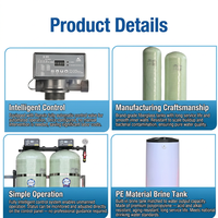 Sistema Automático de Ablandamiento de Agua Dura de 500 LPH con PLC para Uso Doméstico e Industrial, Tecnología de Resina de Intercambio Iónico y Regeneración