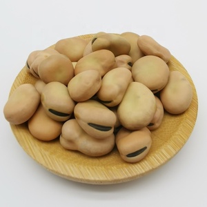 Aperitivos de granos anchos, gran calidad, venta en línea - Product Image 4