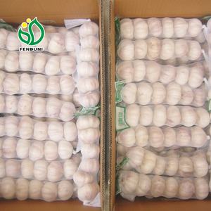 Çin sarımsak-Jin xiang taze sarımsak-her yıl etrafında - Product Image 6