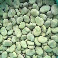 Légumineuses surgelées IQF de qualité supérieure, jeunes pousses de fèves vertes et rebondissantes, sans additifs, vente en gros