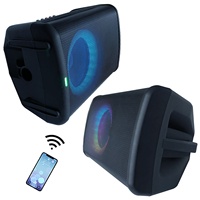1000 W 8 "Portable professionnel Audio guitare extérieur PA système de haut-parleurs boîte de son avec batterie Rechargeable LED lumières BT Echo