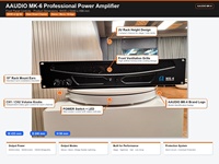Amplificateur de puissance analogique professionnel de classe AB à double canal