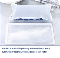 Packs de glace en gel alimentaire jetables et réutilisables personnalisés avec logo pour l'expédition de denrées alimentaires