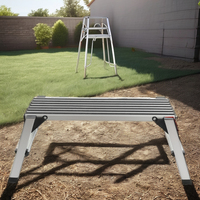 2024 TUV/GS Plates-formes de travail télescopiques en aluminium certifiées Tabouret d'escalier extérieur Offres Spéciales EN131 Échelle pliable et isolante