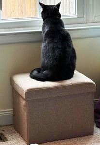 Banc de rangement pliable en tissu de lin, repose-pieds, tabouret, siège - Product Image 5