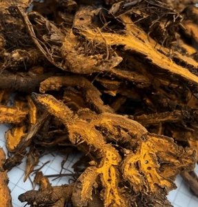 Trung Quốc y học máy tính bảng khô tự nhiên đắng hương vị <span class=keywords><strong>coptis</strong></span> chinensis rễ lát <span class=keywords><strong>coptis</strong></span> gốc cắt chất lượng cao các loại thảo mộc <span class=keywords><strong>coptis</strong></span> - Product Image 5