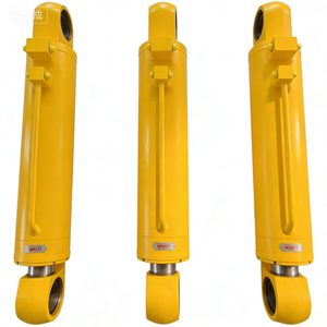 bibo High Performance Gear Motor Hydraulic Cylinder for Hydraulic <b>Grabs</b> and Lifting Equipment - Product Image 2