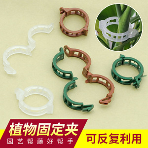 Abrazaderas de plástico para plantas, para enredaderas y plántulas, clips de fijación duraderos para jardín, para frutas, verduras y plantas trepadoras - Product Image 4