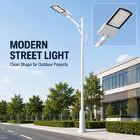 50W-300W Kommerzielle LED-Straßenbeleuchtung Hocheffiziente Außenbeleuchtung IP65 Aluminiumgehäuse für Autobahn- und Kommunalprojekte